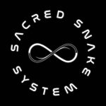 Sacred Snake System martial arts and conditioning training in Porter Texas