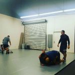 Sacred Snake System martial arts and conditioning training in Porter Texas