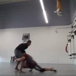 Sacred Snake System martial arts and conditioning training in Porter Texas